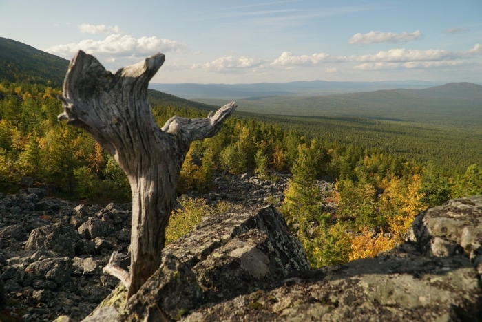 Висимский заповедник свердловской области