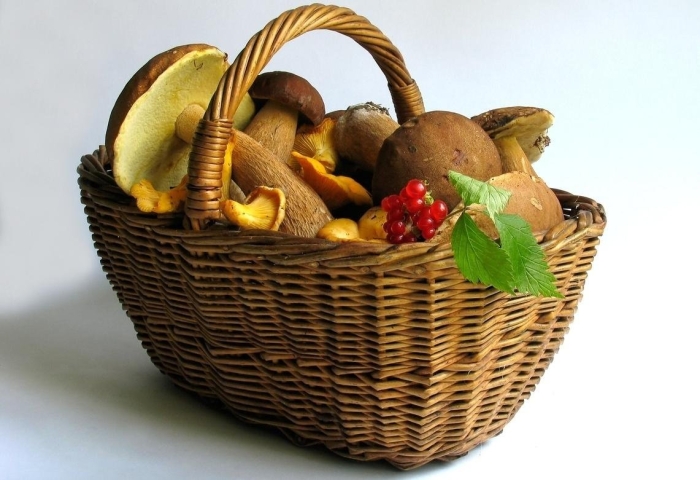 Лукошко с грибами