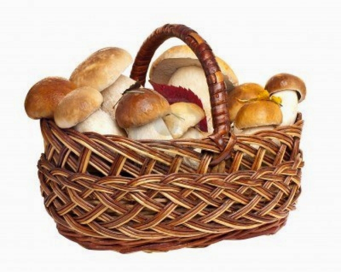 Корзина с грибами