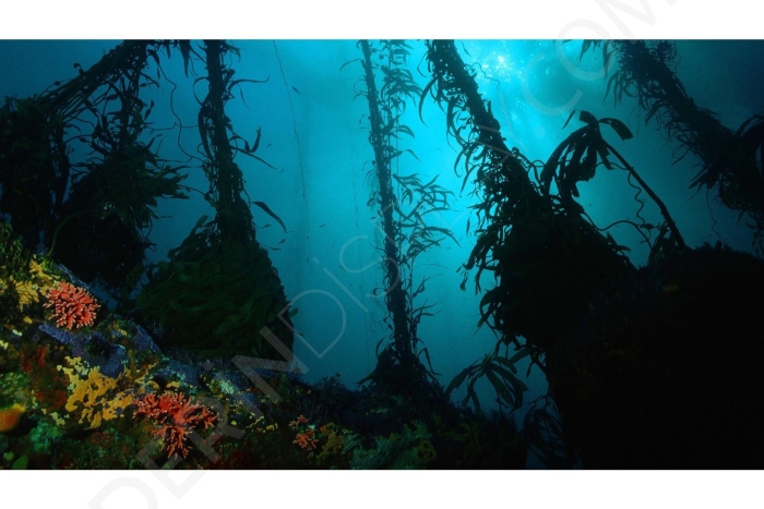 Морская глубина