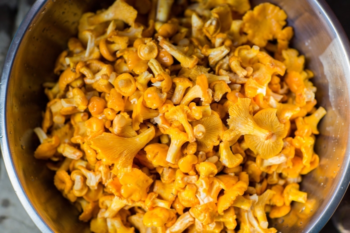 Как приготовить грибы лисички