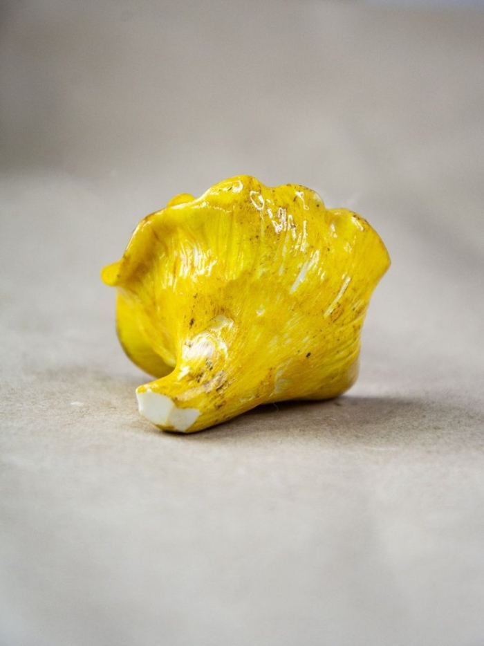 Гриб лисички