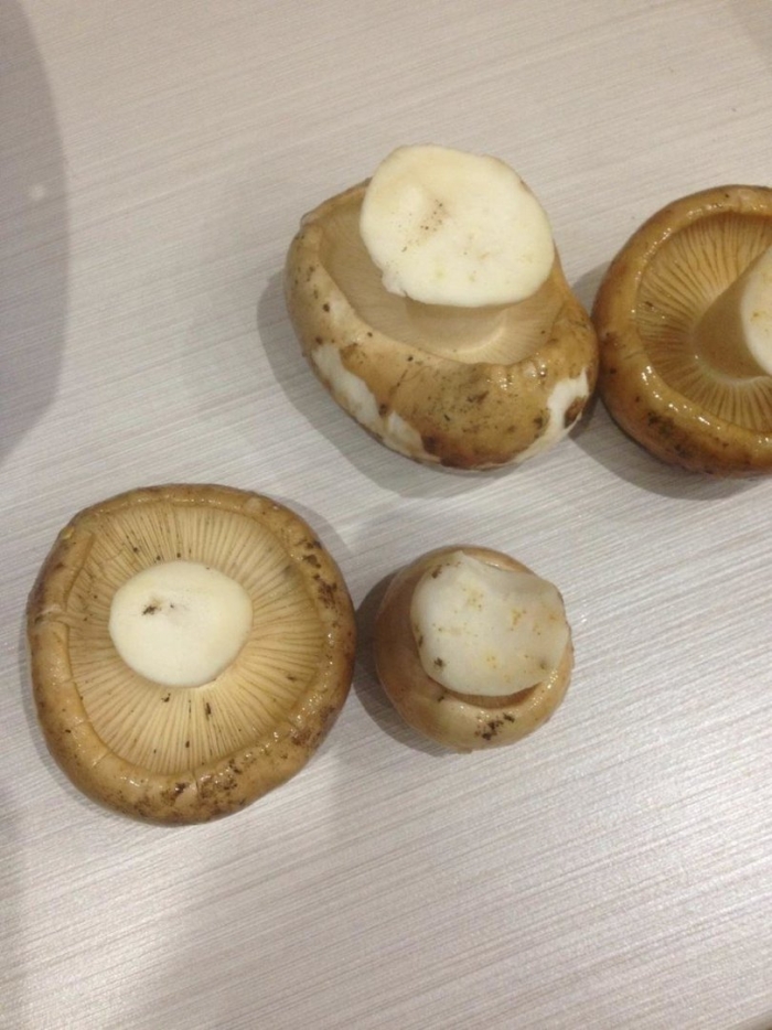 Шампиньоны кримини