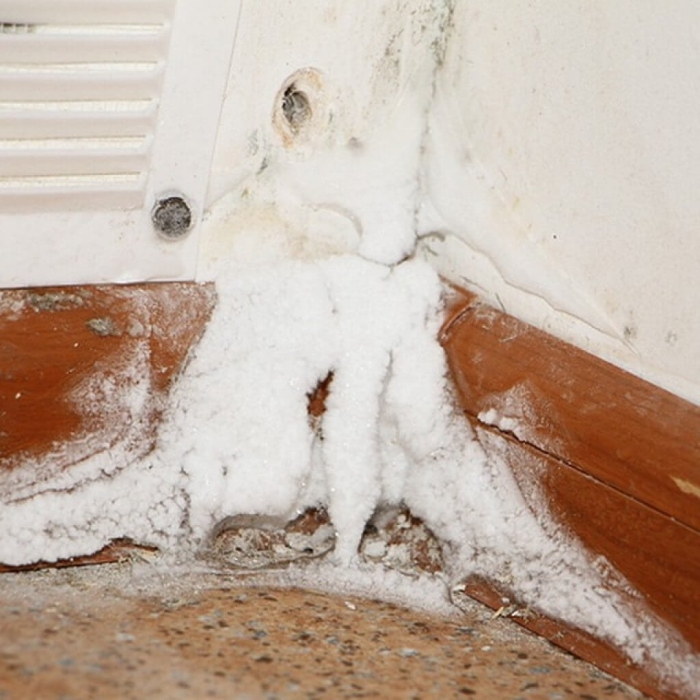 Промерзают стены