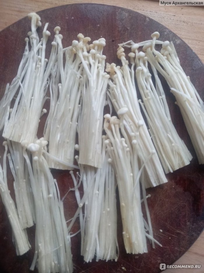 Японские грибы эноки