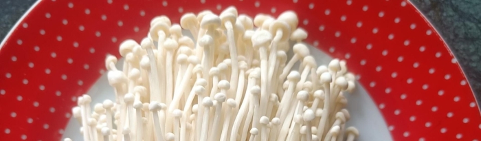 Enoki mushroom