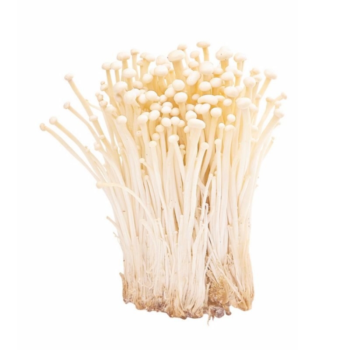 Грибы еноки