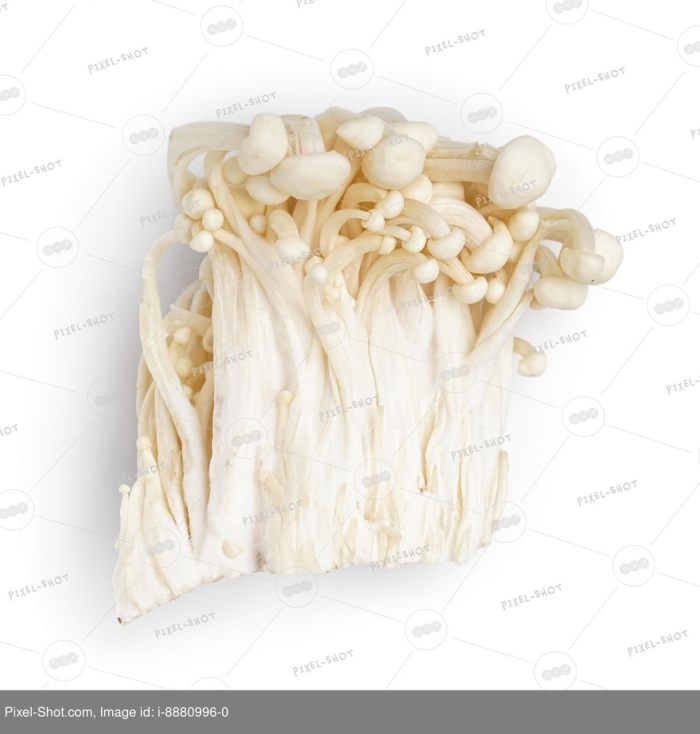 Японские грибы энокитаке