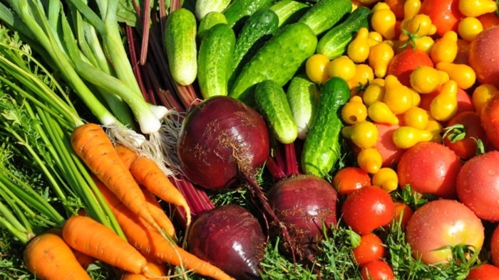 Овощные растения