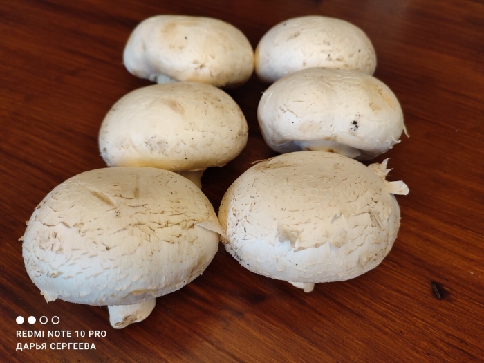 Запеченные шампиньоны