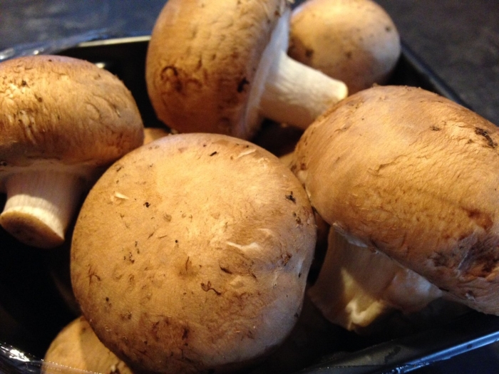 Съедобные грибы шампиньоны