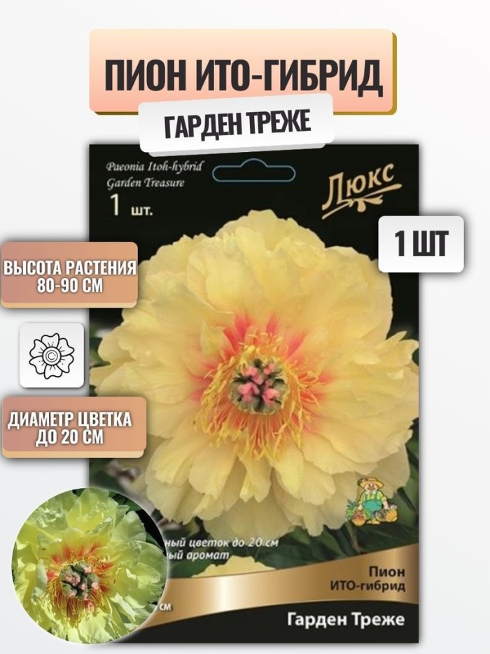 Пион ито гарден треже