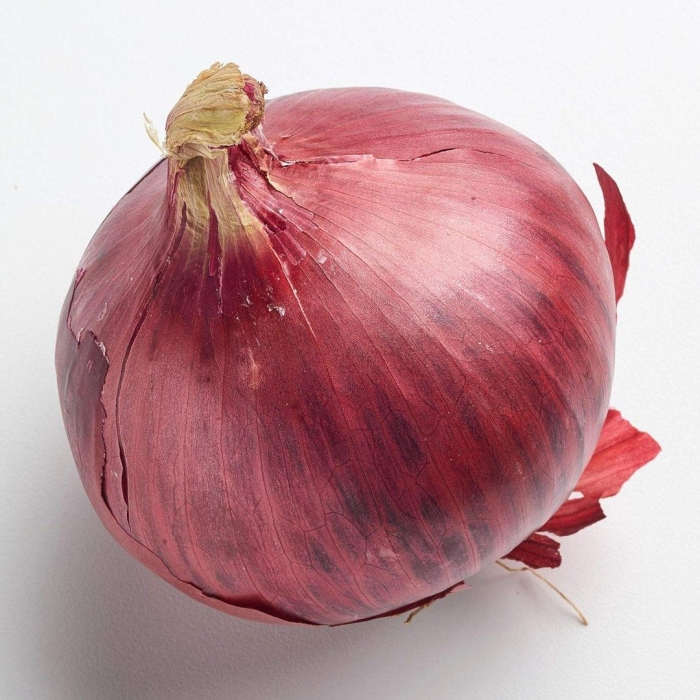 Лук репчатый