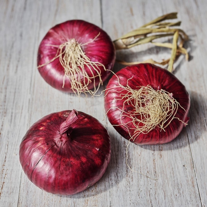 Лук репч. ялтинский красный