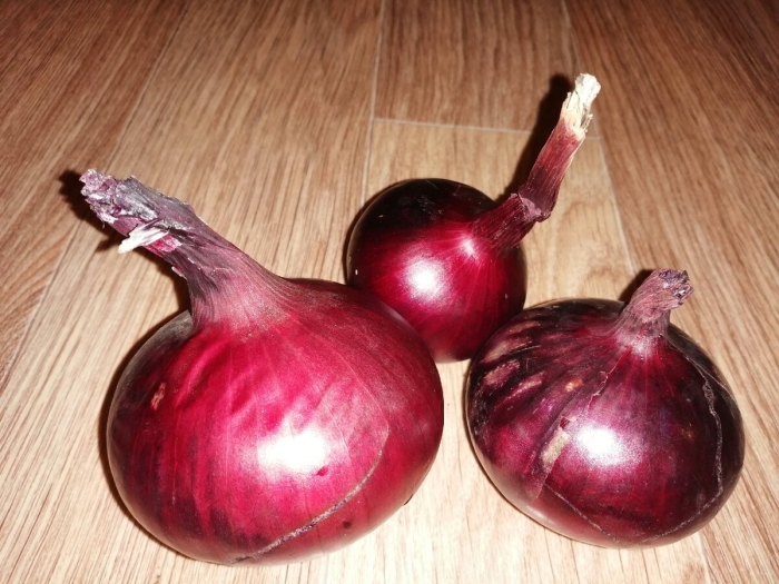 Лук севок ред барон