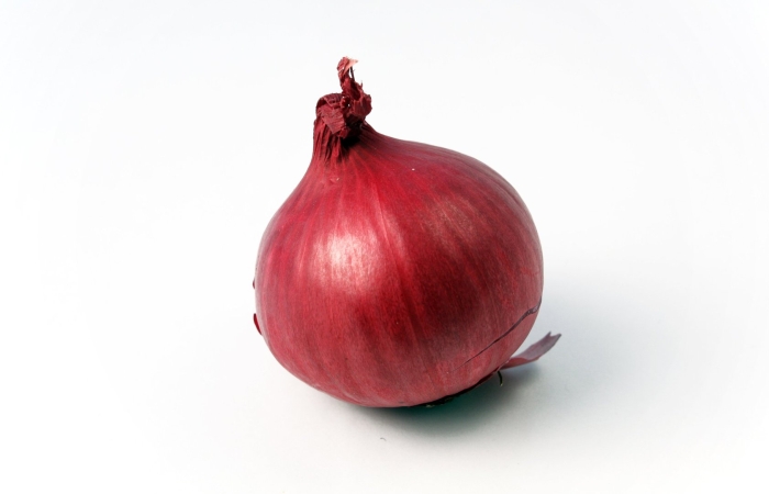 Лук даниловский репч.