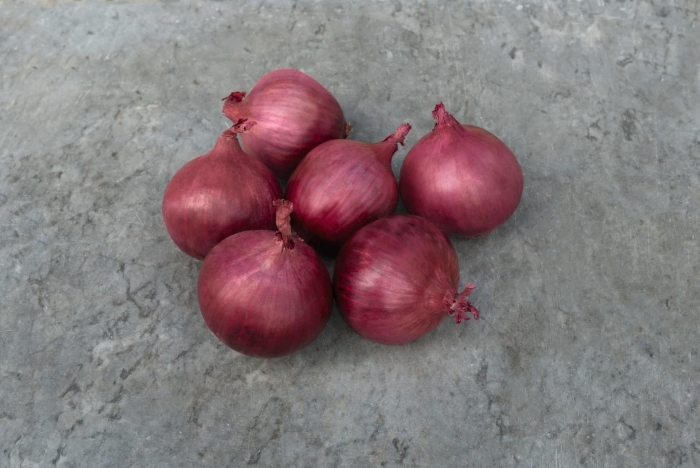 Лук репчатый красный
