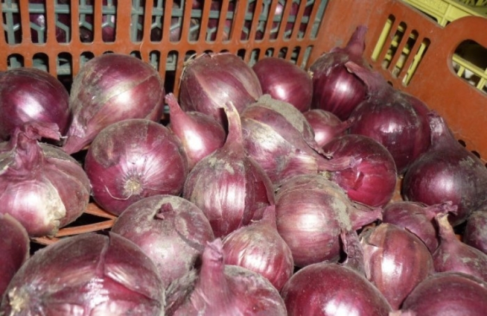 Лук ред барон