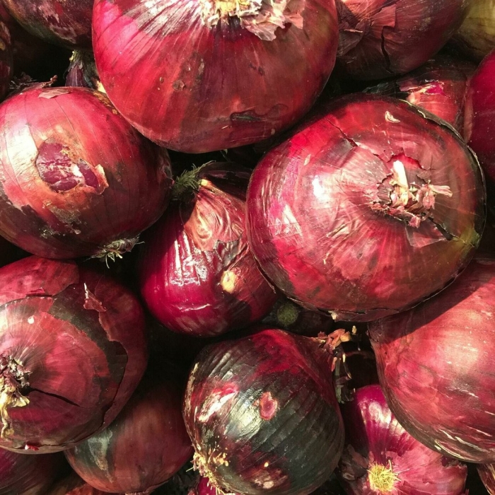 Лук ялтинский красный