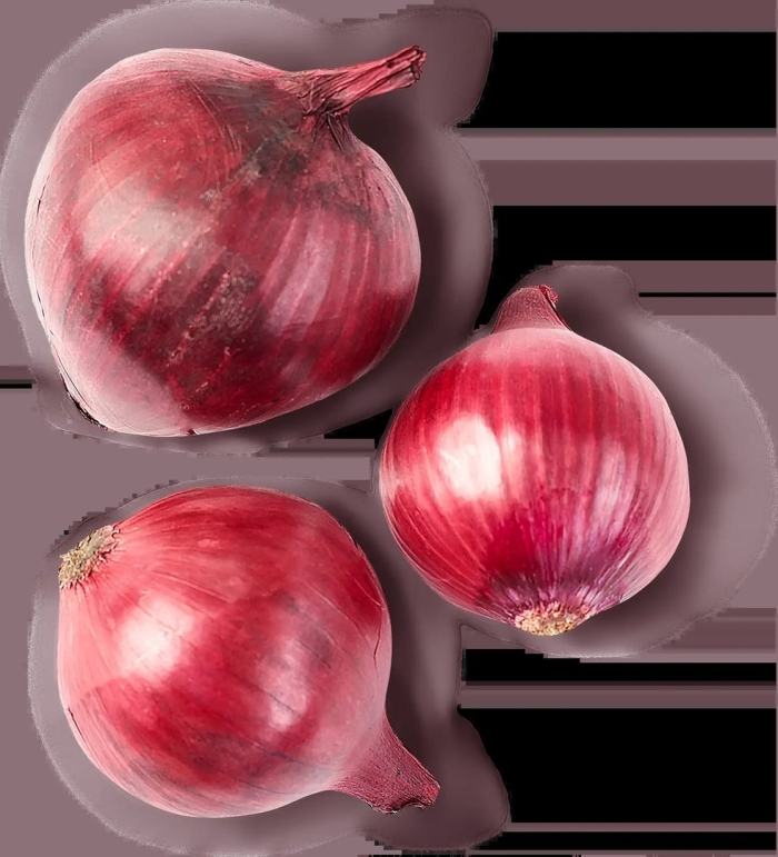 Лук репчатый красный
