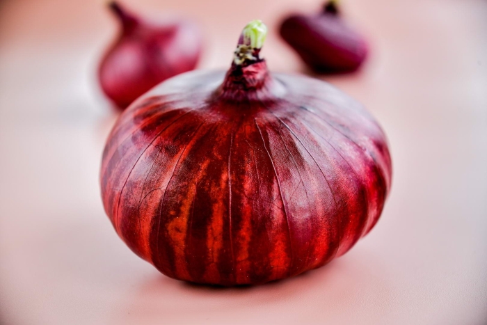 Лук крымский красный плоский