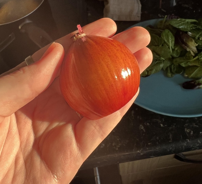 Настоящая луковица