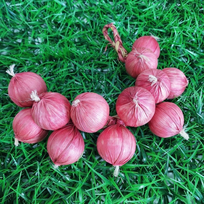 Связка лука