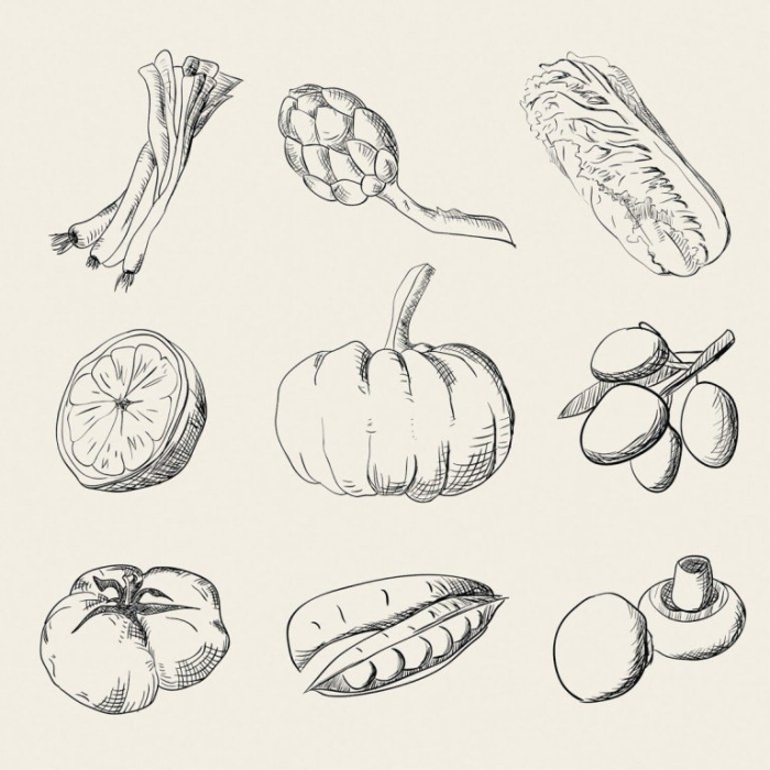 Зарисовки овощей