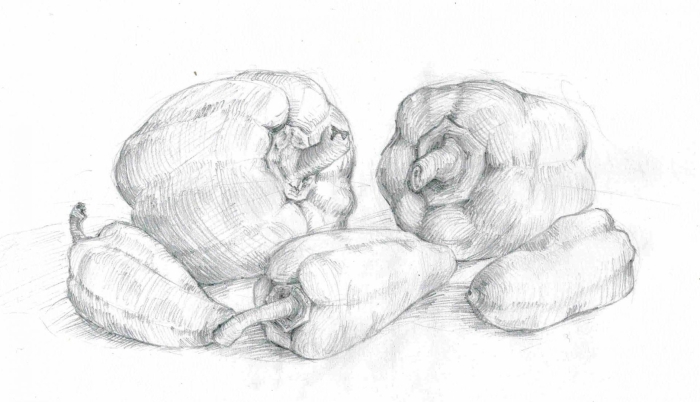 Наброски фруктов