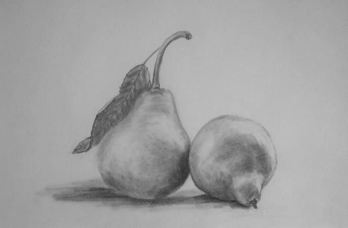 Натюрморт фрукты и овощи карандашом