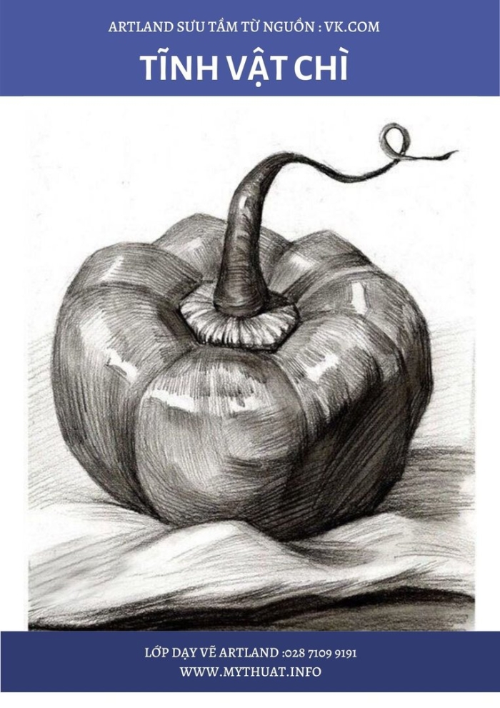 Овощи карандашом