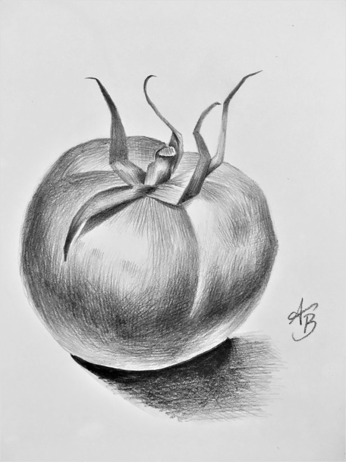 Помидор карандашом