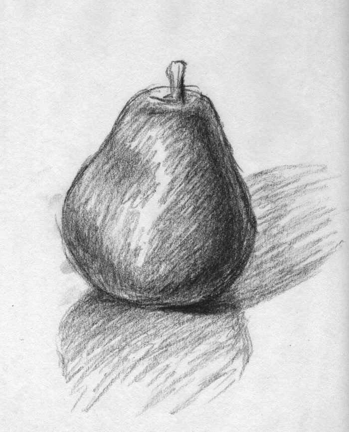 Груша натюрморт карандашом