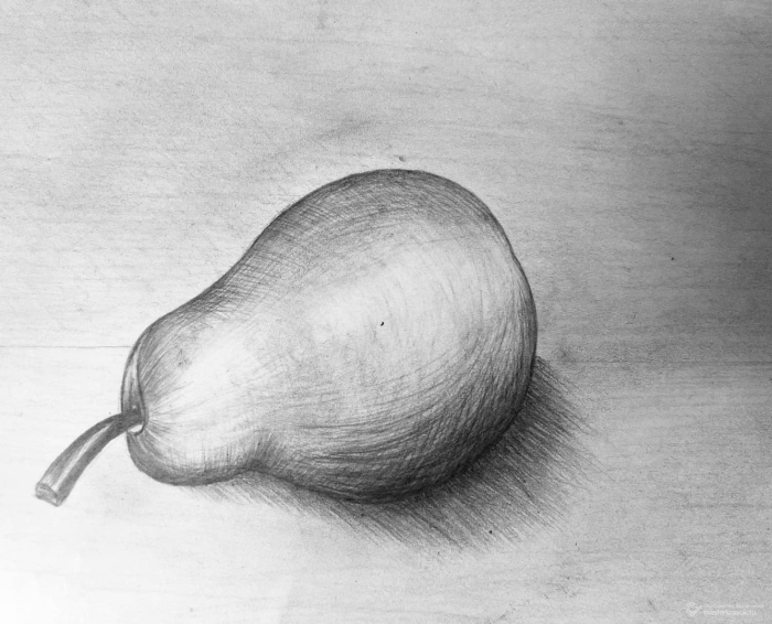 Груша академический рисунок