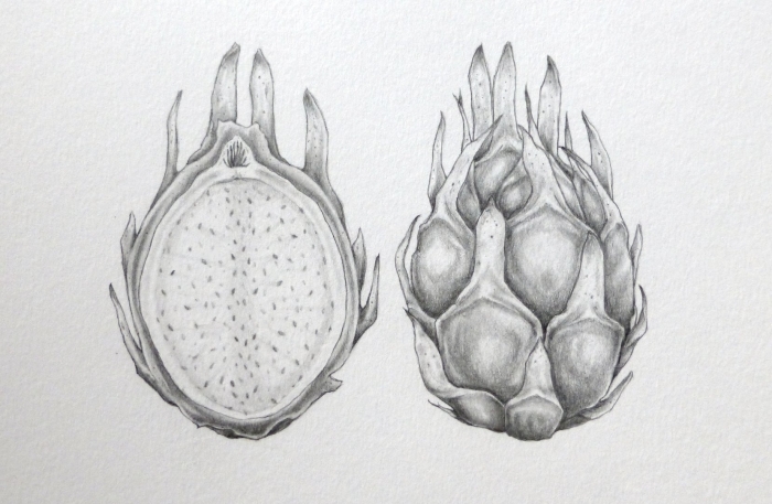 Питайя скетч