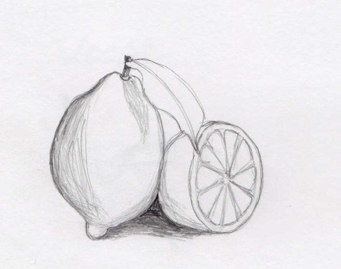 Лимон рисунок карандашом