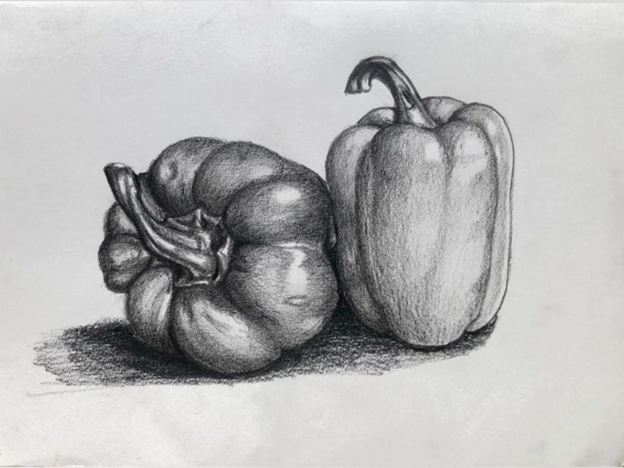 Овощи рисунок карандашом