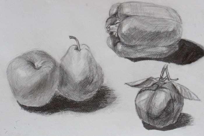 Зарисовки овощей и фруктов карандашом