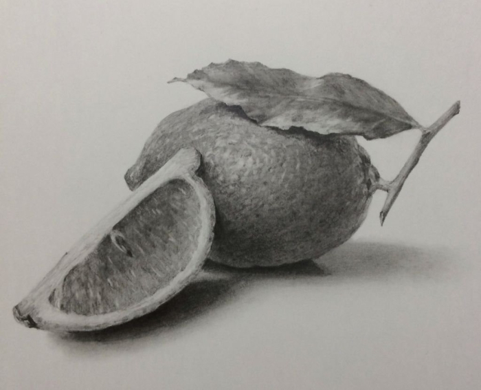 Фрукты наброски