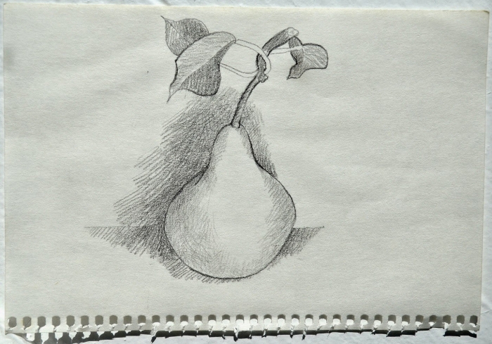 Рисунок груши карандашом