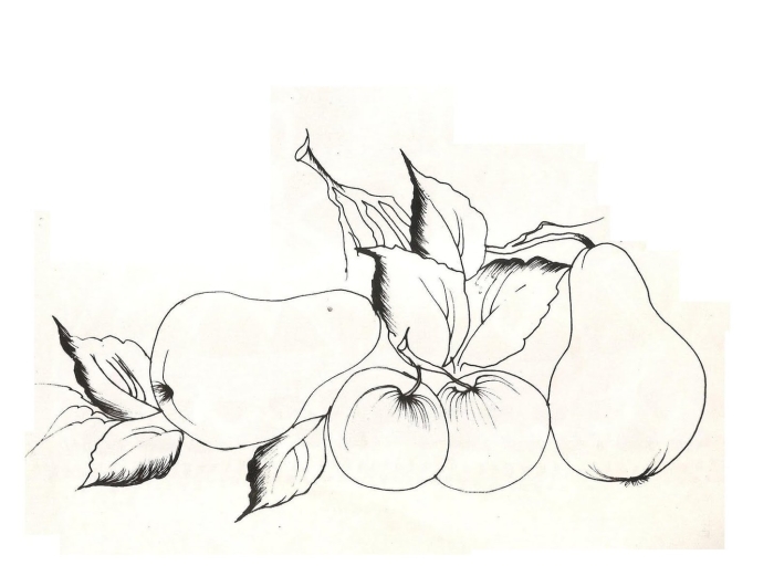 Рисунки фруктов