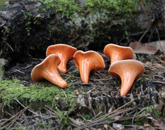 Гриб ложная лисичка