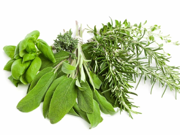 Зелень розмарин