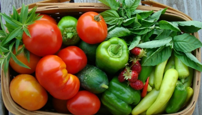 Свежие овощи