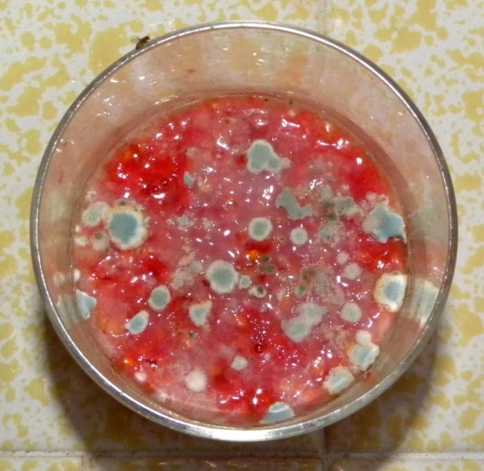 Плесень в варенье