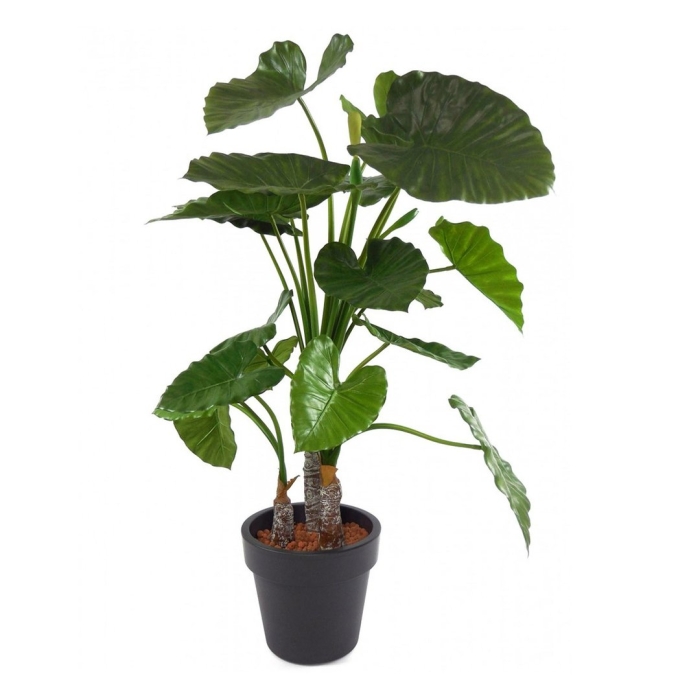Алоказия калидора искусственная treez collection