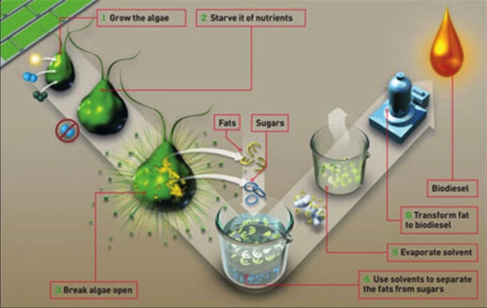 Synthesis of nanoparticles