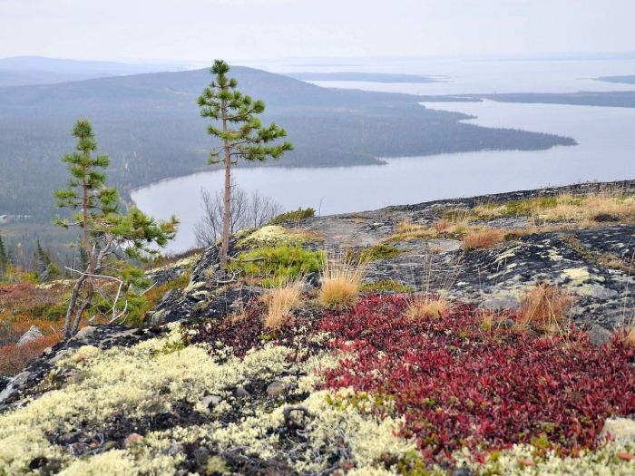 Лапландский заповедник кольский полуостров