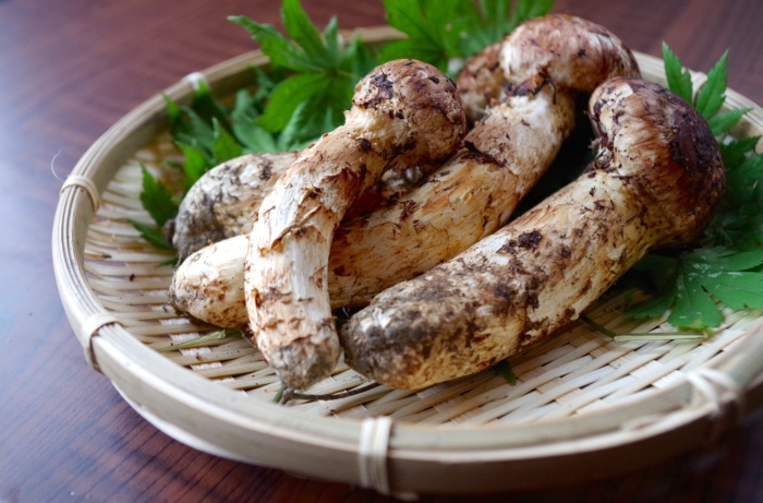 Мацутакэ геншин