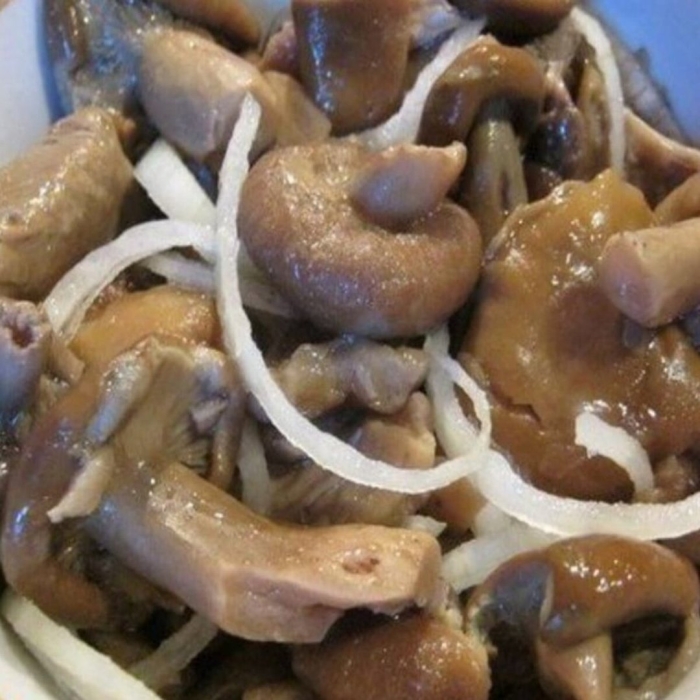 Соленые грибы